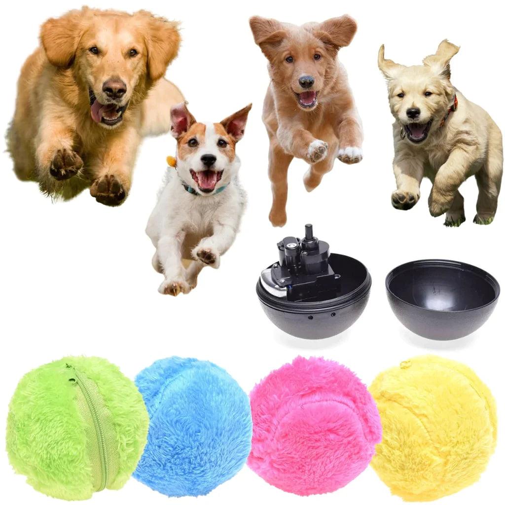 Pet Luxe Market™ Active Rolling Ball - Pet Luxe Market