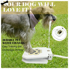 Pet Luxe Market™ Automatic Dog Drinking Fountain - Pet Luxe Market