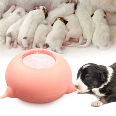 Pet Luxe Market™ Portable Pet Milk Feeding Bowl