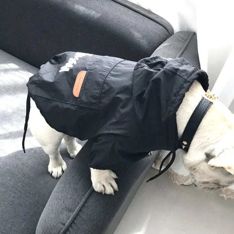 Pet Luxe Market™ Small Dog Sport Jacket