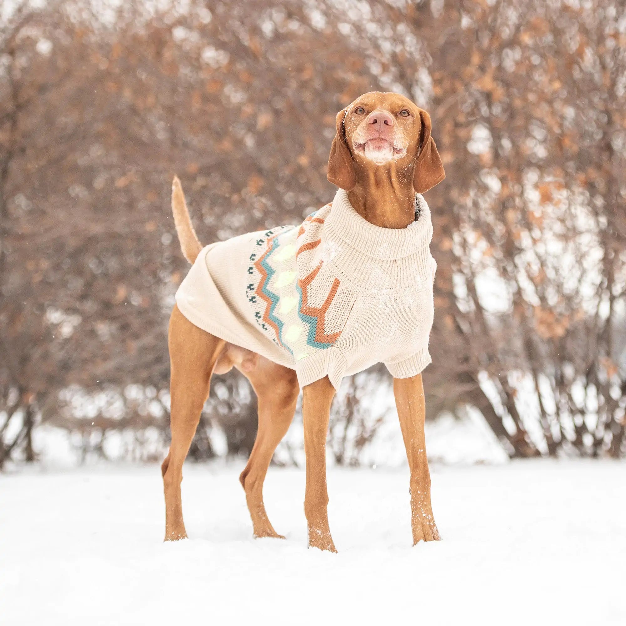 Pet Luxe Market™  Heritage Sweater - Sand