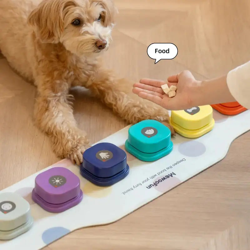 Pet Luxe Market™ Training Buzzer Recordable Talking Button - Pet Luxe Market