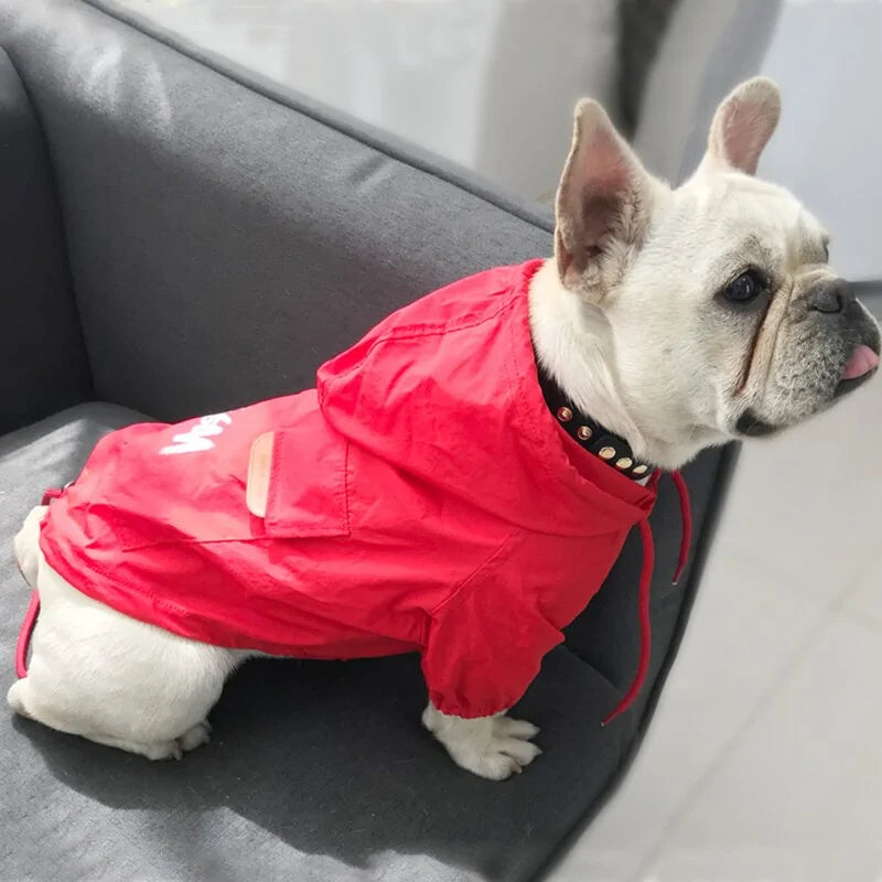 Pet Luxe Market™ Small Dog Sport Jacket