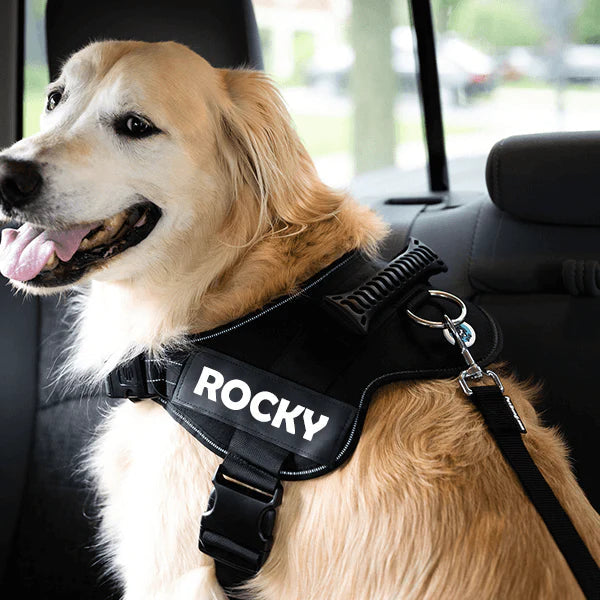 Pet Luxe Market™ Adjustable Dog Safety Seat Belt - Pet Luxe Market