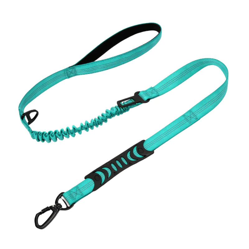 Pet Luxe Market™   PuppHub Signature Leash