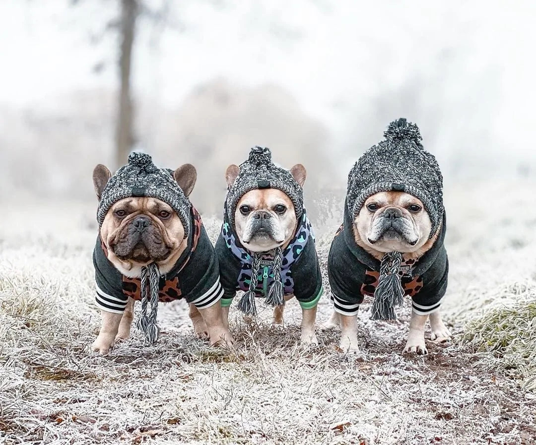 Pet Luxe Market™ Warm Winter Pet Hat