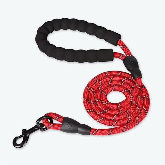 Pet Luxe Market™ Premium Quality Nylon Leash - Pet Luxe Market