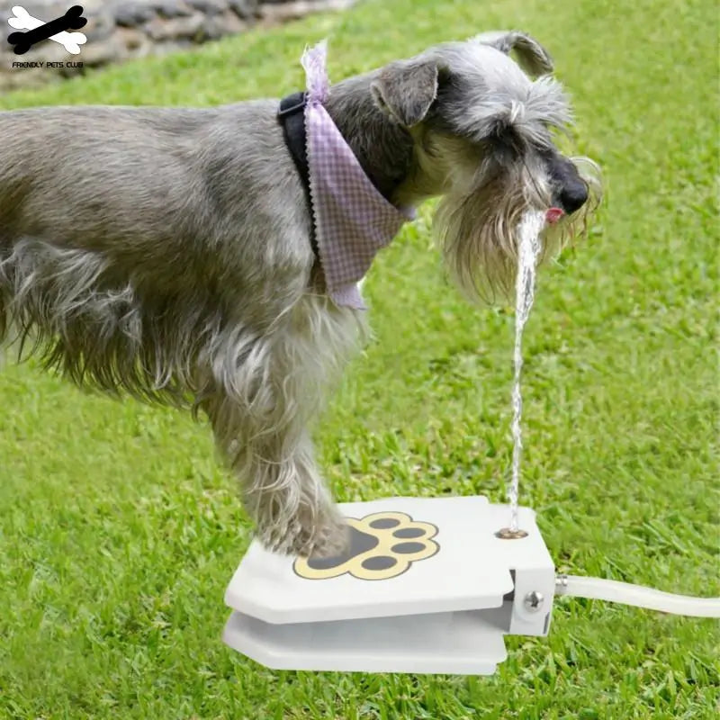 Pet Luxe Market™ Automatic Dog Drinking Fountain - Pet Luxe Market