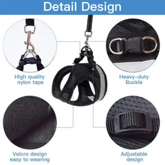 Pet Luxe Market™ Cozy Cat Pet Harness and Leash - Pet Luxe Market