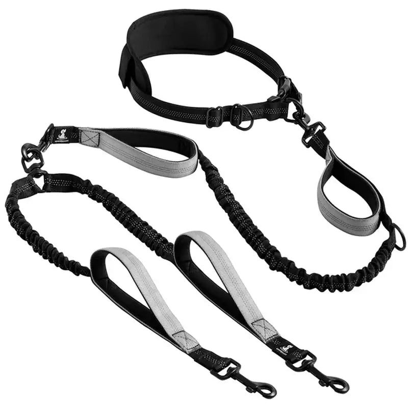 Pet Luxe Market™ Reflective Comfort Leash Duo - Pet Luxe Market