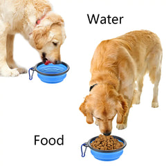 Pet Luxe Market™ Collapsible Pet Bowl - Pet Luxe Market