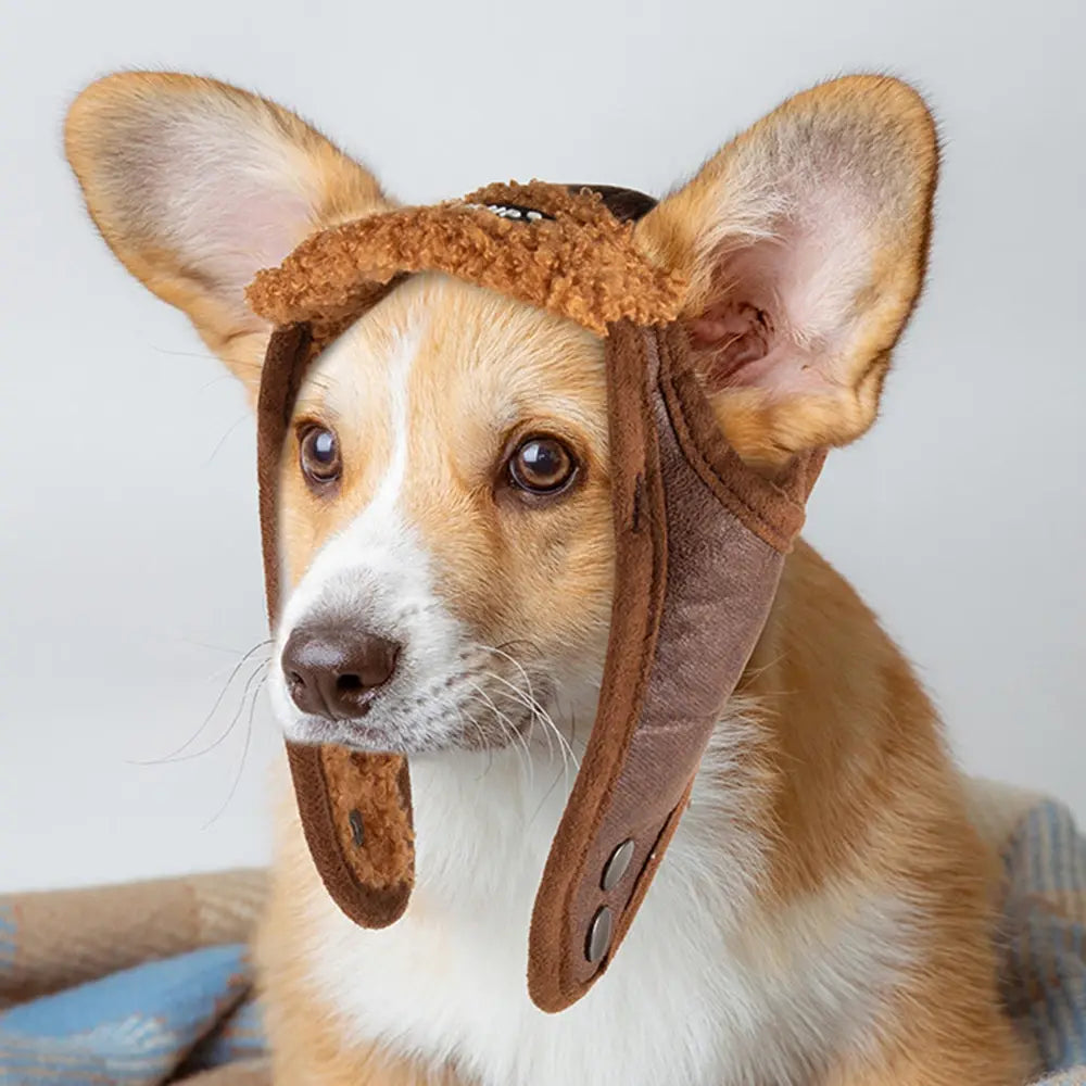 Pet Luxe Market™ Winter Pet Dog Hat