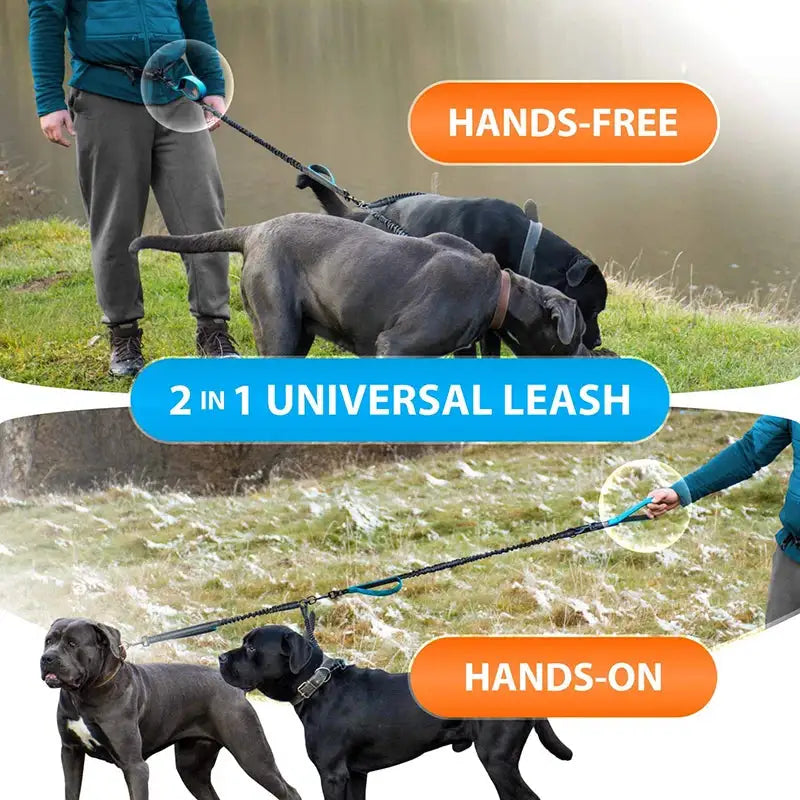 Pet Luxe Market™ Reflective Comfort Leash Duo - Pet Luxe Market