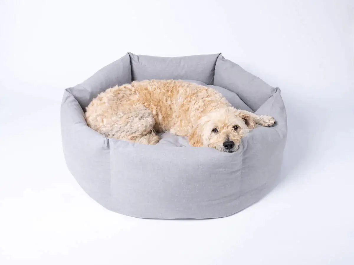 Pet Luxe Market™ Cozy Paws Calming Dog Bed