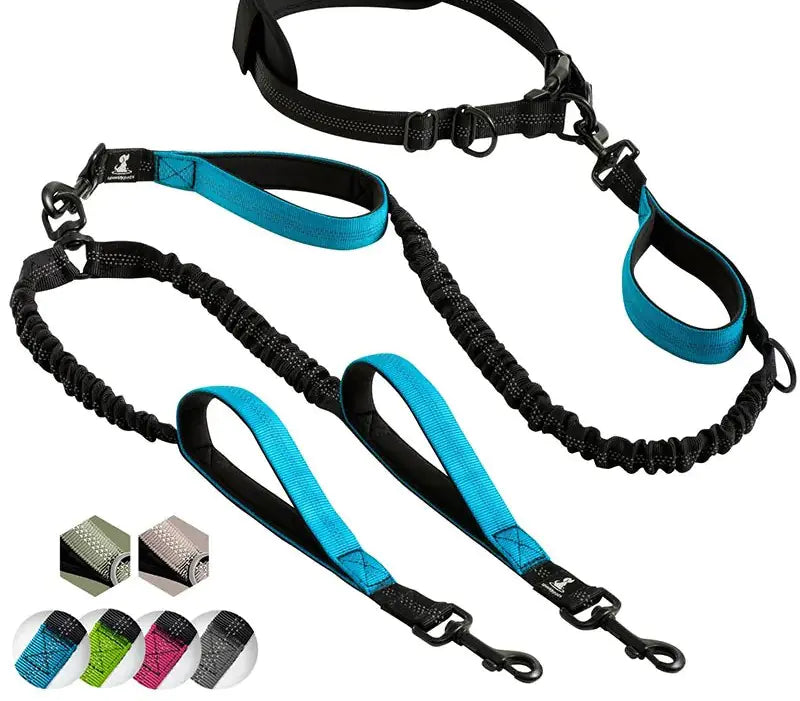 Pet Luxe Market™ Reflective Comfort Leash Duo - Pet Luxe Market