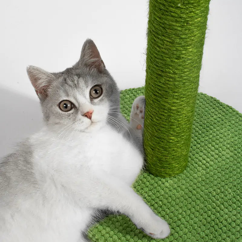 Pet Luxe Market™ Cat Scratching Post - Pet Luxe Market