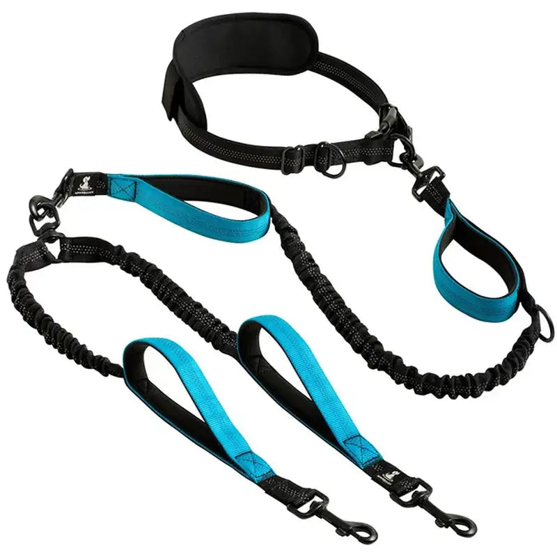 Pet Luxe Market™ Reflective Comfort Leash Duo - Pet Luxe Market