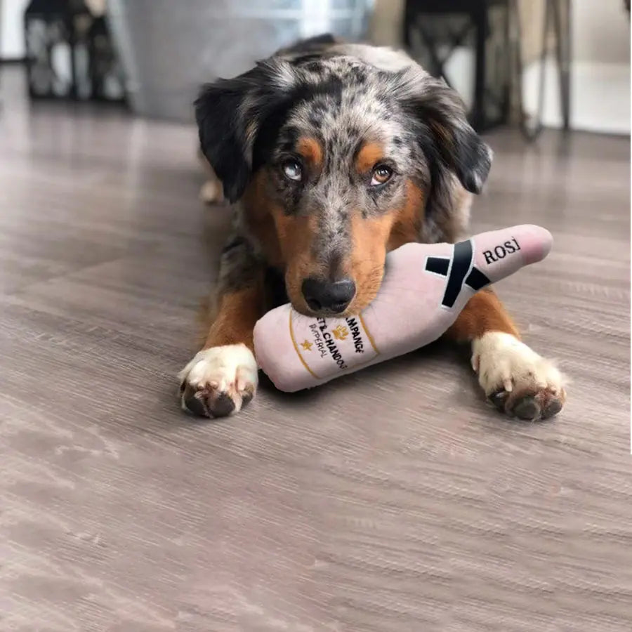 Pet Luxe Market™ Whiskey Beer Dog Toy - Pet Luxe Market