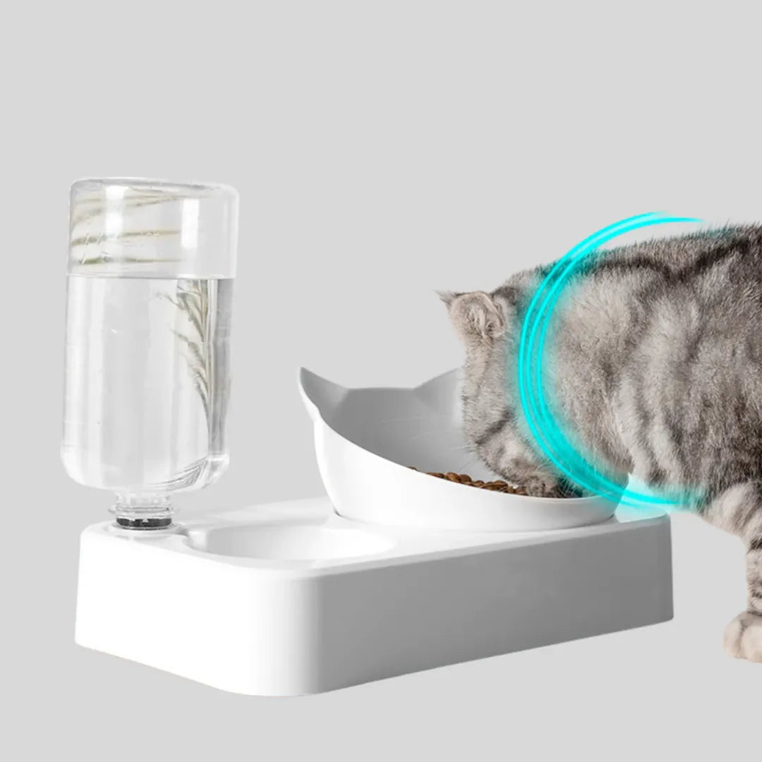 Pet Luxe Market™  The Kitty Sack Bowl - Pet Luxe Market