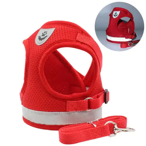 Pet Luxe Market™ Cozy Cat Pet Harness and Leash - Pet Luxe Market