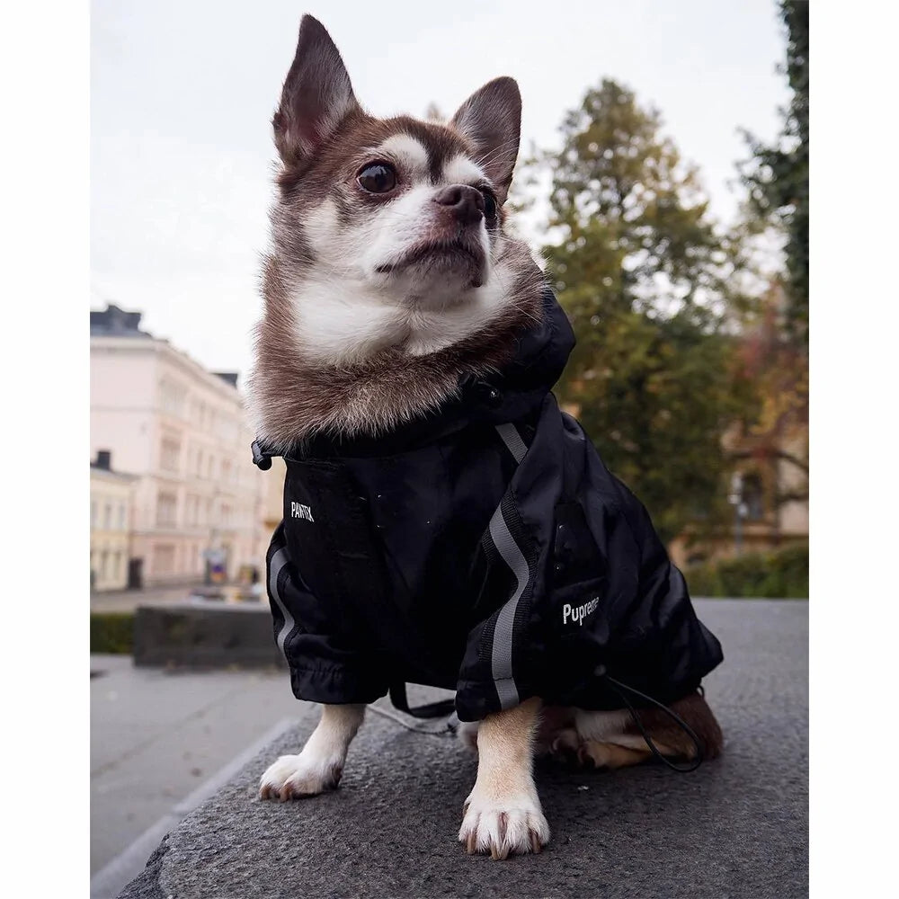 Pet Luxe Market™ Winter Dog Face Jacket