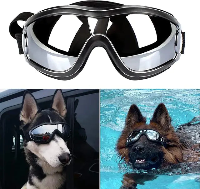 Pet Luxe Market™ Adjustable Strap Dog Goggles - Pet Luxe Market