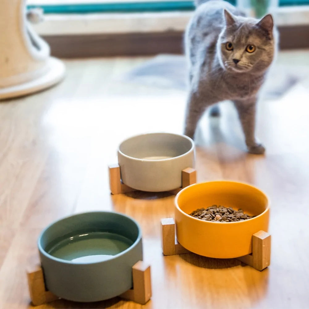 Pet Luxe Market™ Ceramic Raised Cat Bowl With Wood Stand