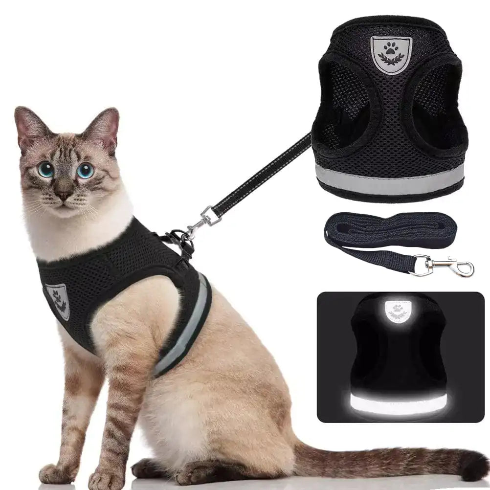 Pet Luxe Market™ Cozy Cat Pet Harness and Leash - Pet Luxe Market