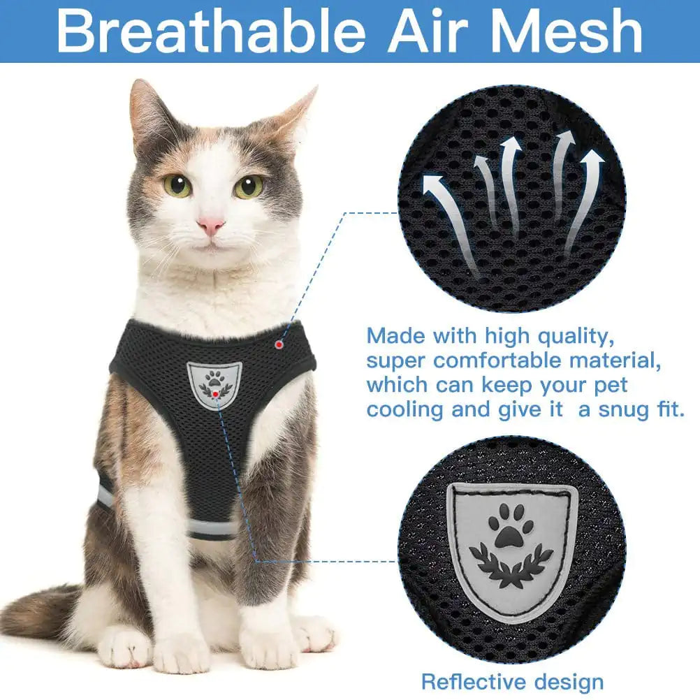 Pet Luxe Market™ Cozy Cat Pet Harness and Leash - Pet Luxe Market