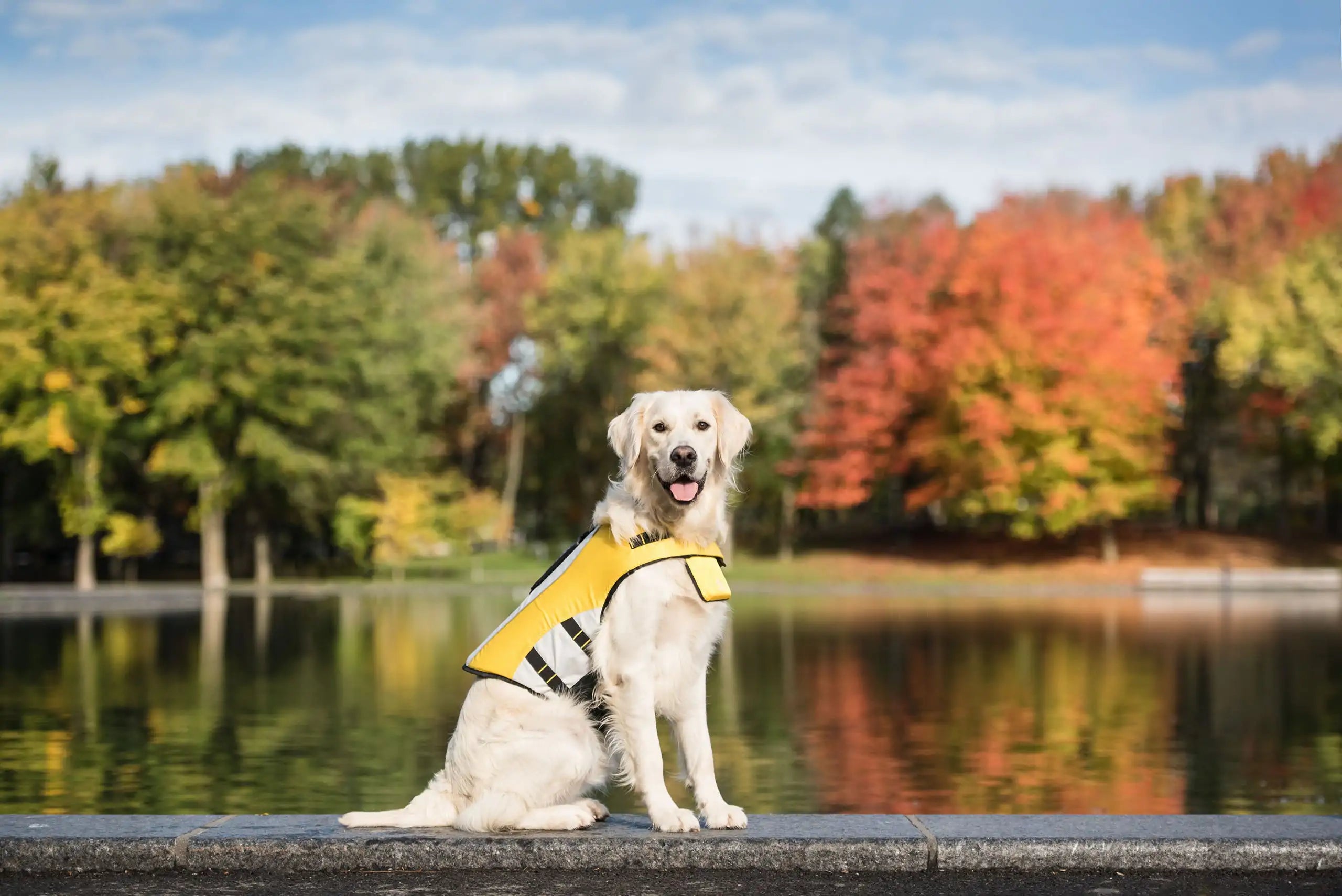 Pet Luxe Market™   Dog Life Vest Jacket