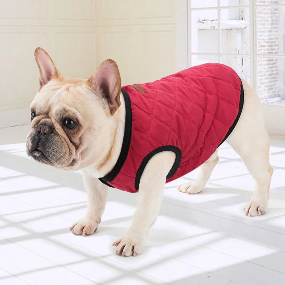 Pet Luxe Market™ Dog Winter Jacket