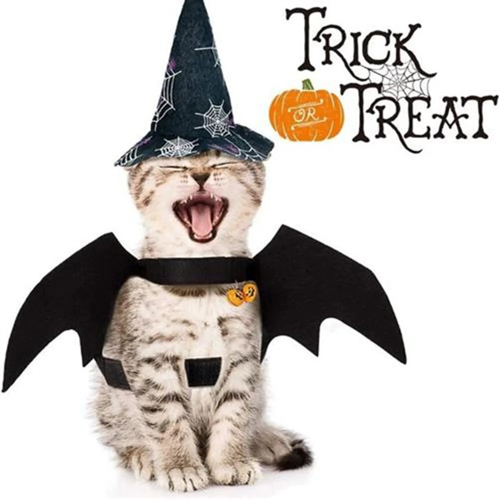 Pet Luxe Market™ Halloween Cute Pet Clothes Black Bat