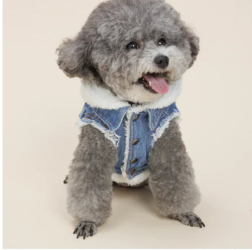 Pet Luxe Market™  Dog Jacket Denim Dog Jacket