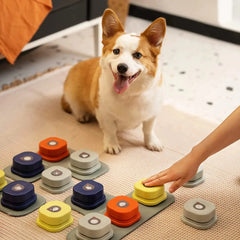 Pet Luxe Market™ Vocal Training Interactive Toy Bell Ringer - Pet Luxe Market