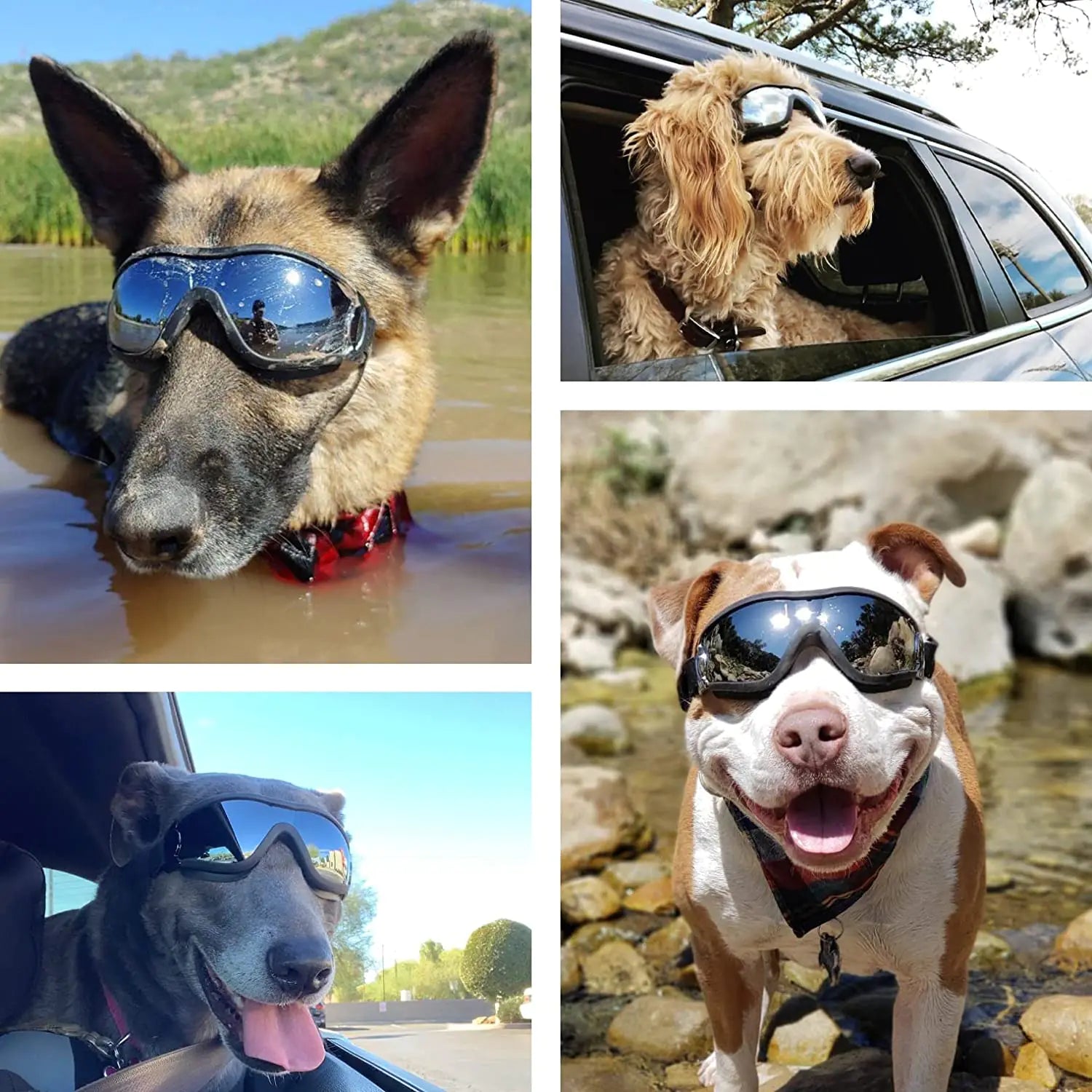 Pet Luxe Market™ Adjustable Strap Dog Goggles - Pet Luxe Market