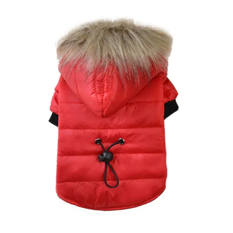 Pet Luxe Market™ Warm Winter Small Dog Jacket