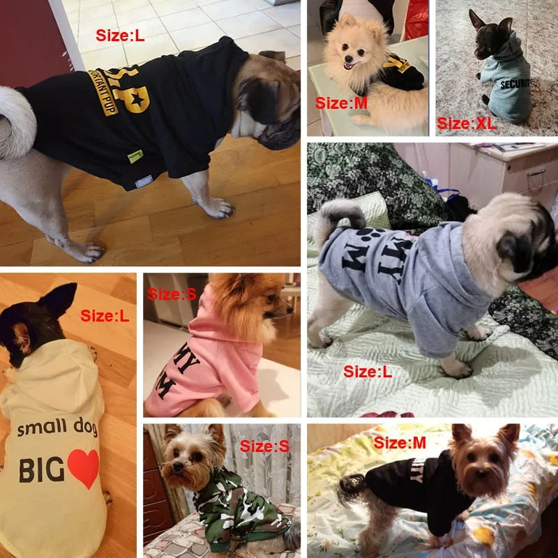 Pet Luxe Market™ Funny Text Dog Clothes