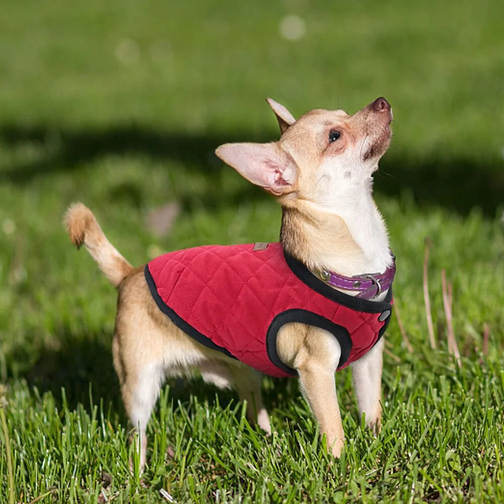 Pet Luxe Market™ Dog Winter Jacket