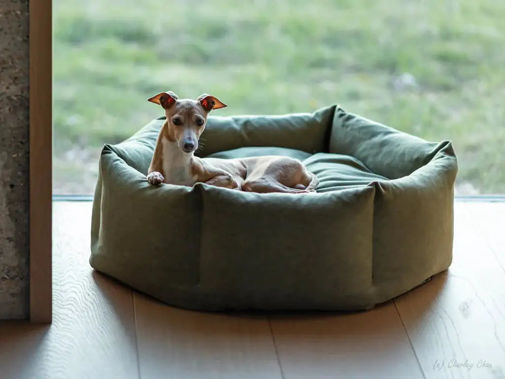 Pet Luxe Market™ Cozy Paws Calming Dog Bed