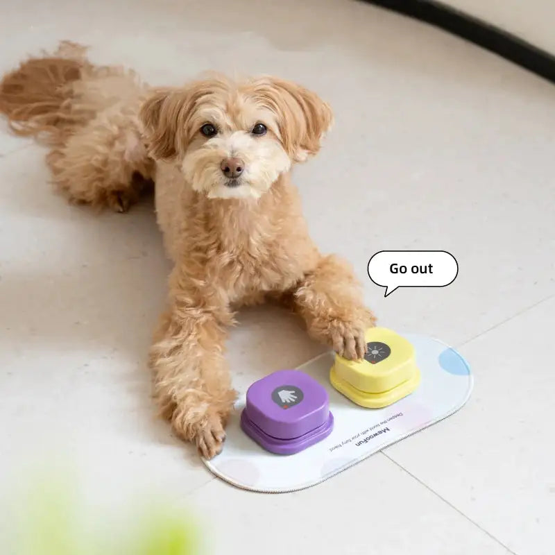 Pet Luxe Market™ Training Buzzer Recordable Talking Button - Pet Luxe Market