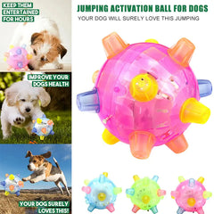 Pet Luxe Market™Jumping Activation Ball - Pet Luxe Market