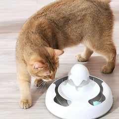 Pet Luxe Market™  Pet Feeding Toy Plate