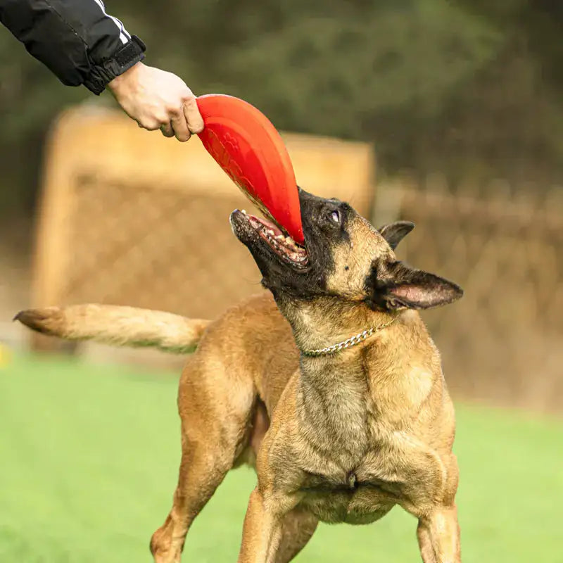 Pet Luxe Market™ Dog Rubber Flying Disc - Pet Luxe Market