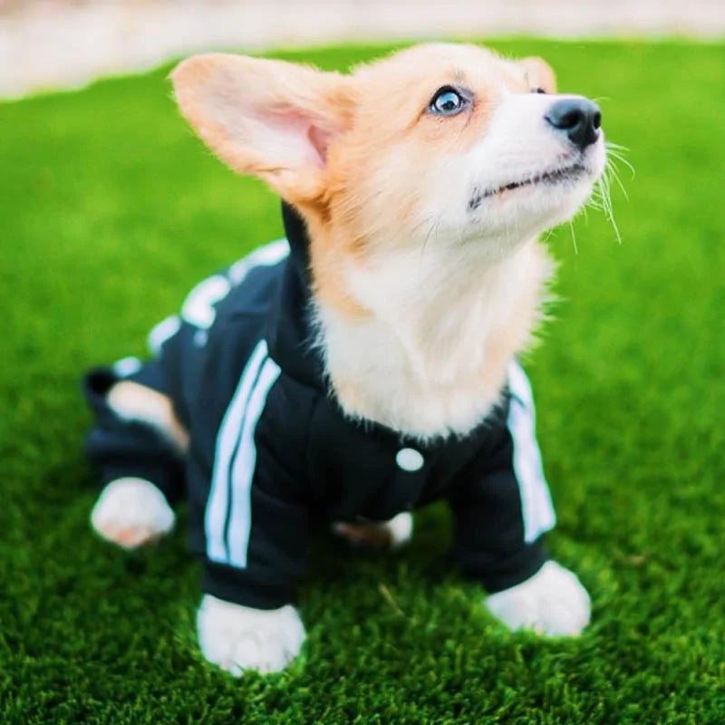 Pet Luxe Market™   Dog Jacket Jumpsuit Costume