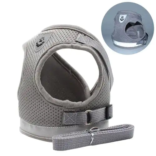 Pet Luxe Market™ Cozy Cat Pet Harness and Leash - Pet Luxe Market