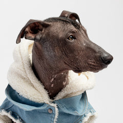 Pet Luxe Market™  Dog Jacket Denim Dog Jacket