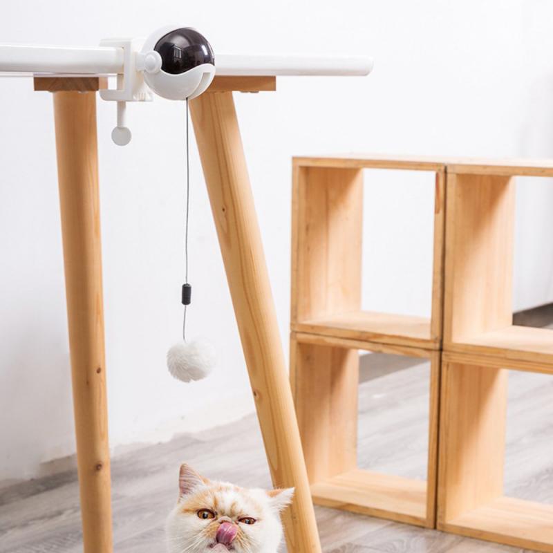 Automated Cat Toys - Pet Luxe Market