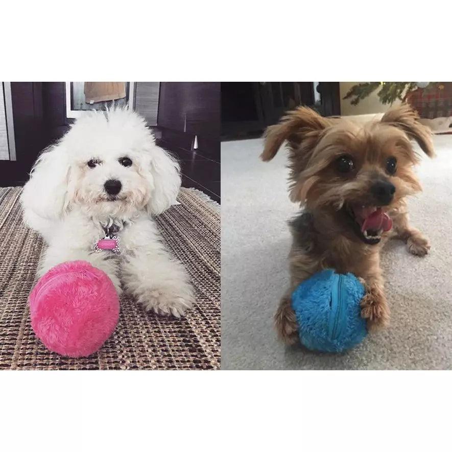 Pet Luxe Market™ Active Rolling Ball - Pet Luxe Market