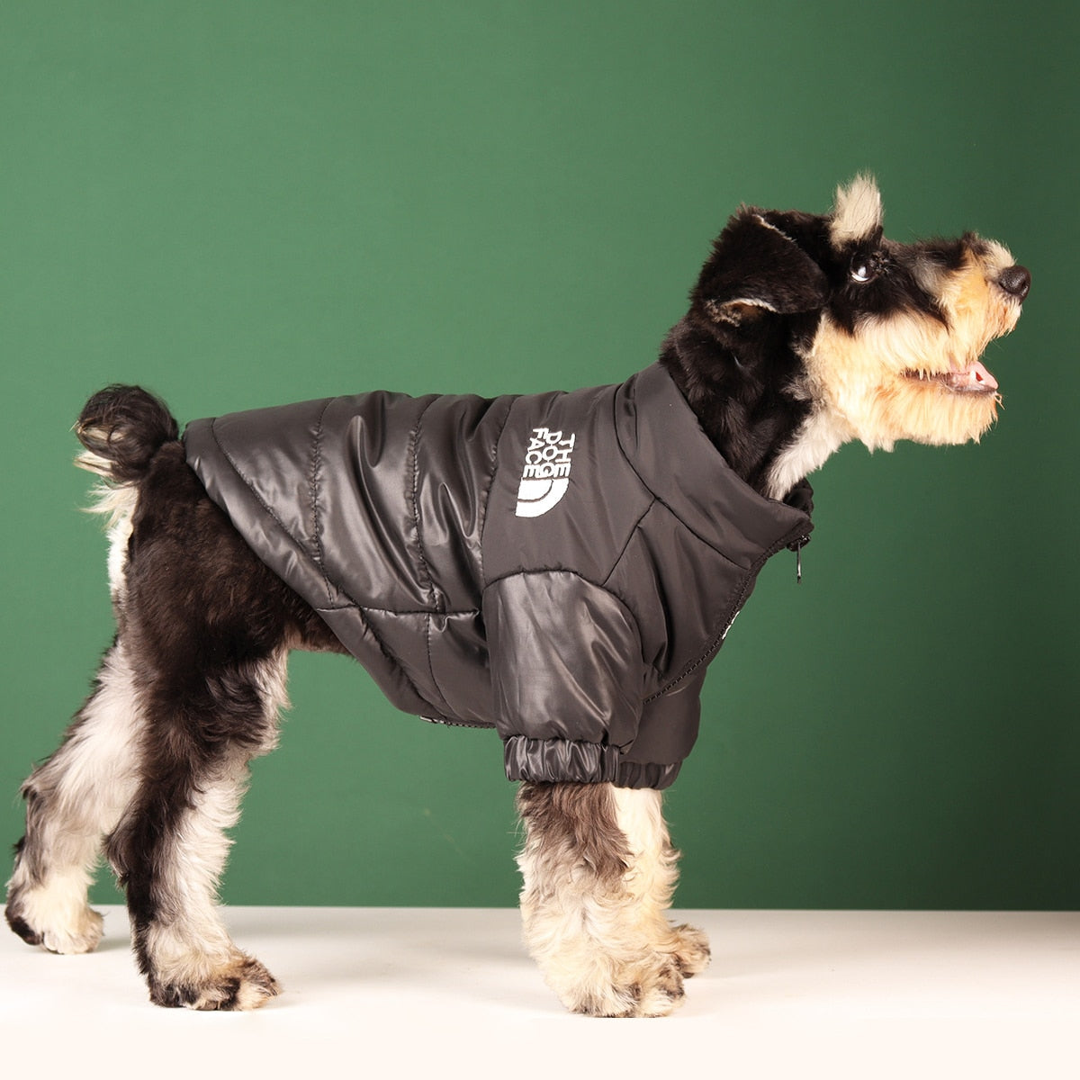 Pet Luxe Market™ Windproof Reflective Dog Jacket - Pet Luxe Market