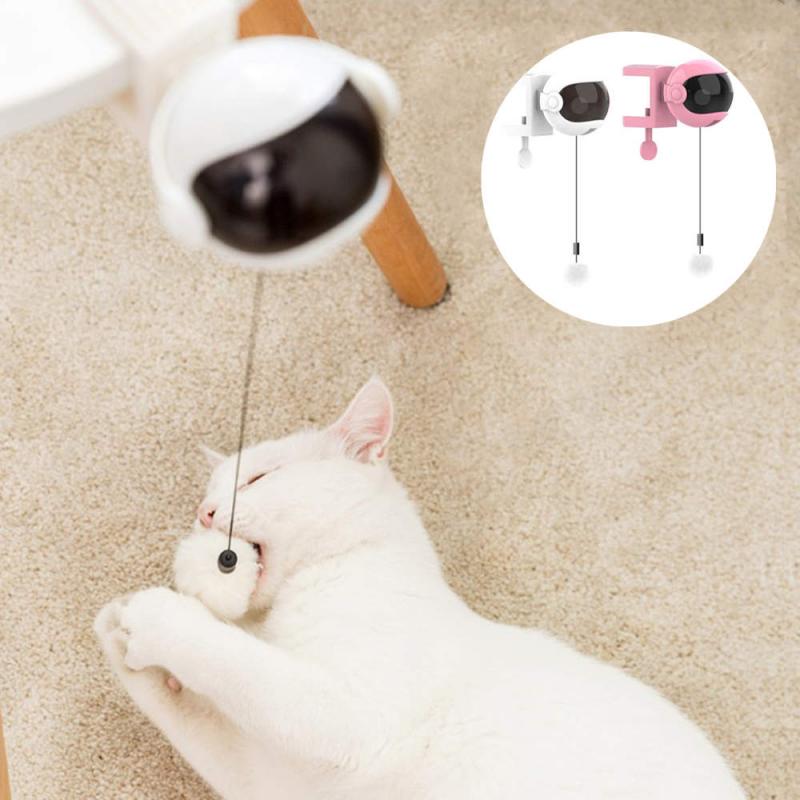 Automated Cat Toys - Pet Luxe Market